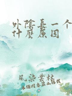 外阴长一个包是什么原因