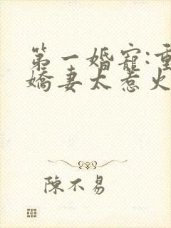 第一婚宠:重生娇妻太惹火 清歌一片
