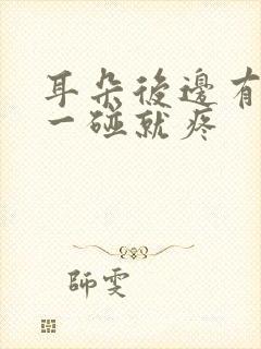 耳朵后边有个包一碰就疼