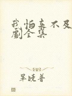 我怕来不及电视剧全集