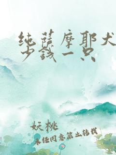 纯萨摩耶犬狗多少钱一只