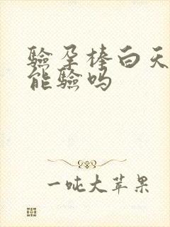 验孕棒白天的尿能验吗