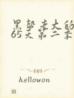 黑帮老大的第365天第二季在线观看