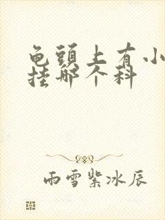 龟头上有小红斑挂哪个科