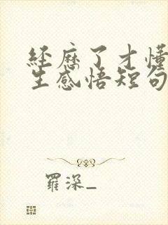 经历了才懂得人生感悟短句