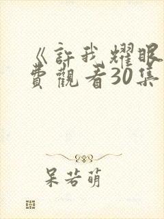 《许我耀眼》免费观看30集