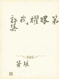 许我耀眼第三十集