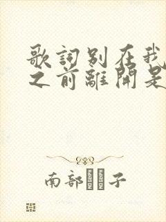 歌词别在我离开之前离开是什么歌