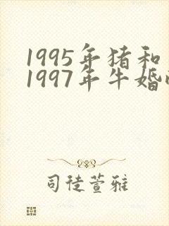 1995年猪和1997年牛婚配