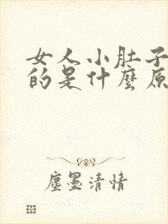 女人小肚子涨涨的是什么原因