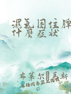 湿气困住脾胃有什么症状