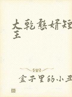 大乾憨婿短剧男主