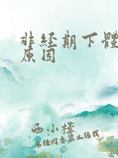 非经期下体出血原因