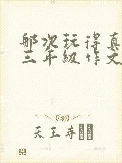 那次玩得真开心三年级作文300字