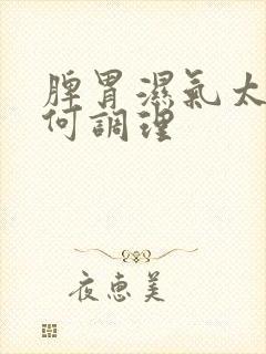 脾胃湿气太重如何调理