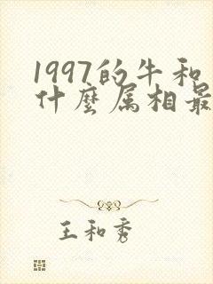 1997的牛和什么属相最配