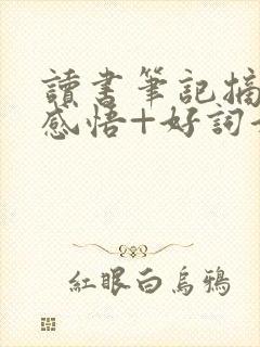 读书笔记摘抄+感悟+好词好句骆驼祥子