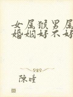 女属猴男属蛇的婚姻好不好
