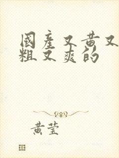 国产又黄又猛又粗又爽的