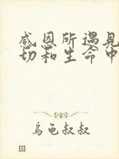 感恩所遇见的一切和生命中的美好