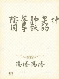 阴唇肿是什么原因导致的