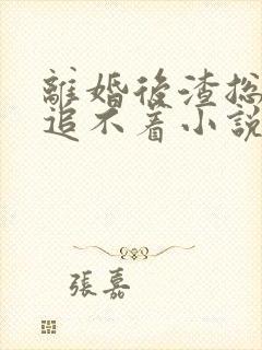 离婚后渣总追妻追不着小说