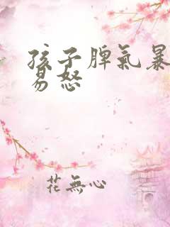 孩子脾气暴躁,易怒