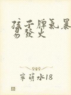 孩子脾气暴躁容易发火