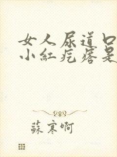 女人尿道口有个小红疙瘩是怎么回事