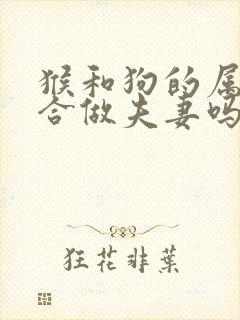 猴和狗的属相适合做夫妻吗