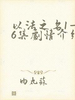 以法之名1—36集剧情介绍