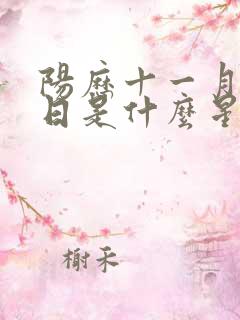 阳历十一月十八日是什么星座