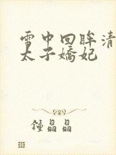 雪中回眸清穿之太子娇妃