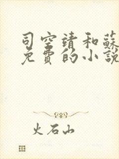 司空靖和苏月汐免费的小说最新