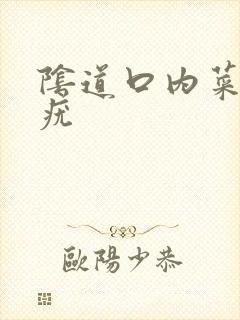 阴道口内菜花状疣