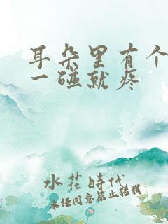 耳朵里有个疙瘩一碰就疼