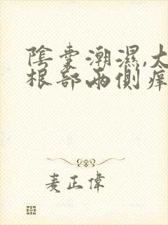 阴囊潮湿,大腿根部两侧痒是什么