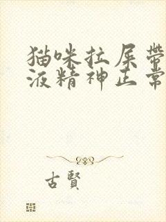 猫咪拉屎带血粘液精神正常