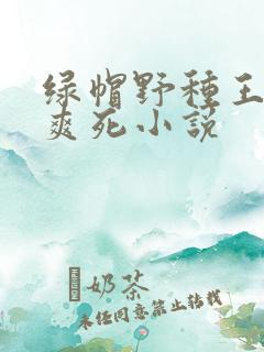 绿帽野种王八奴爽死小说