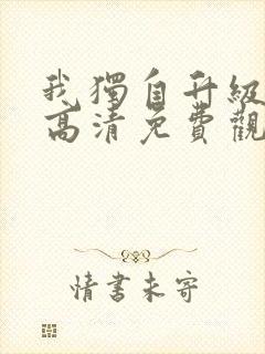 我独自升级动漫高清免费观看