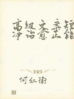 高级文案短句干净治愈正能量