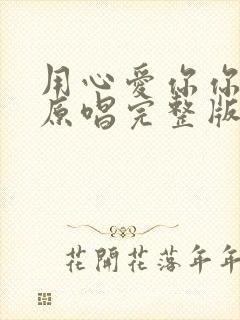 用心爱你你不懂原唱完整版