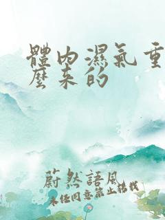 体内湿气重是怎么来的