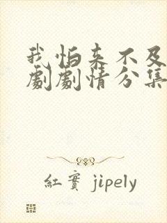 我怕来不及电视剧剧情分集介绍