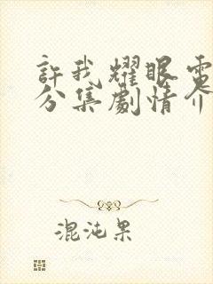 许我耀眼电视剧分集剧情介绍