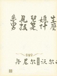 梦见儿媳生了个男孩是什么梦