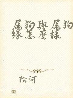 属狗与属狗的姻缘怎么样