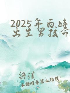 2025年酉时出生男孩命运