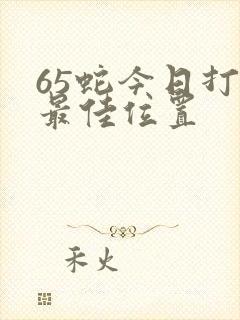 65蛇今日打牌最佳位置