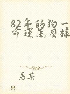 82年的狗一生命运怎么样